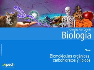 PPTCANCBBLA04003V4
Clase
Biomoléculas orgánicas:
carbohidratos y lípidos
 
