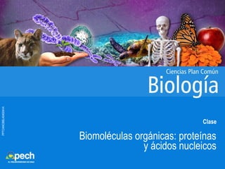 PPTCANCBBLA04004V4
Clase
Biomoléculas orgánicas: proteínas
y ácidos nucleicos
 