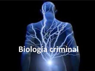Biología criminal 
 