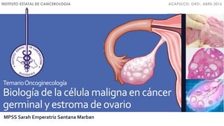 TemarioOncoginecología
Biología de la célula maligna en cáncer
germinal y estroma de ovario
MPSS Sarah Emperatriz Santana Marban
INSTITUTO ESTATAL DE CANCEROLOGIA ACAPULCO, GRO., ABRIL 2016
 