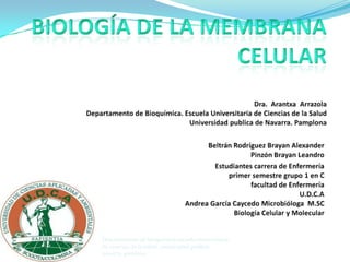 Departamento de bioquimica,escuela universitaria
de ciencias de la salud, universidad publica
navarra, pamlona.
 