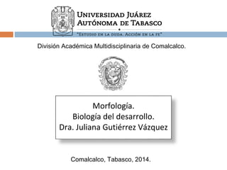 División Académica Multidisciplinaria de Comalcalco. 
Morfología. 
Biología del desarrollo. 
Dra. Juliana Gutiérrez Vázquez 
Comalcalco, Tabasco, 2014. 
 