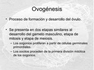 Ovogénesis
• Proceso de formación y desarrollo del óvulo.
• Se presenta en dos etapas similares al
desarrollo del gameto masculino, etapa de
mitosis y etapa de meiosis.
– Los oogonios proliferan a partir de células germinales
primordiales.
– Los oocitos proceden de la primera división mitótica
de los oogonios.

 