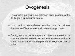 Ovogénesis
– Los oocitos primarios se detienen en la profase antes
de llegar a la madurez sexual.
– Los oocitos secundarios resultan de la primera
división meiótica, aparece el primer cuerpo polar.
– Óvulo, resulta de la segunda división meiótica, la
cual se efectúa cuando un espermatozoide activa al
oocito secundario, se desprende el segundo cuerpo
polar.

 