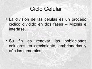 Ciclo Celular
• La división de las células es un proceso
cíclico dividido en dos fases – Mitosis e
interfase.
• Su fin es renovar las poblaciones
celulares en crecimiento, embrionarias y
aún las tumorales.

 
