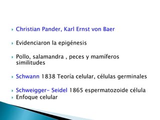  Christian Pander, Karl Ernst von Baer
 Evidenciaron la epigénesis
 Pollo, salamandra , peces y mamíferos
similitudes
 Schwann 1838 Teoría celular, células germinales
 Schweigger- Seidel 1865 espermatozoide célula
 Enfoque celular
 