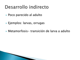  Poco parecido al adulto
 Ejemplos: larvas, orrugas
 Metamorfosis- transición de larva a adulto
 