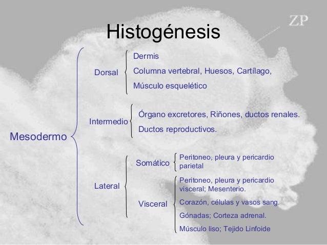 online quaternary stereocenters challenges