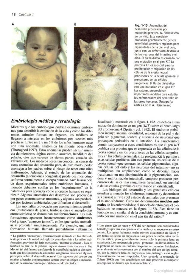 Estuar Ell Raton Biología del Desarrollo Gilbert 7a edición.pdf