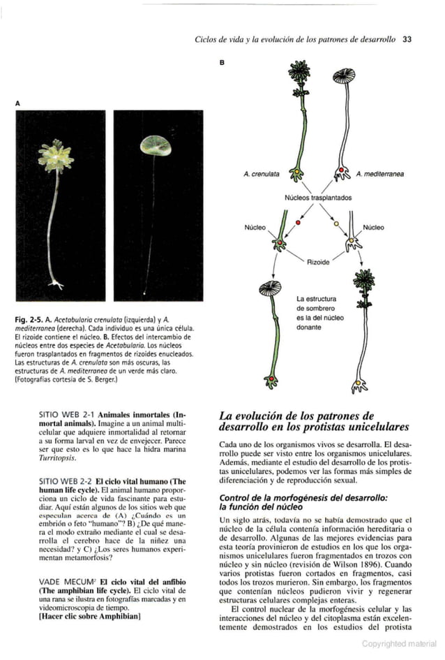 Biología del Desarrollo Gilbert 7a edición.pdf