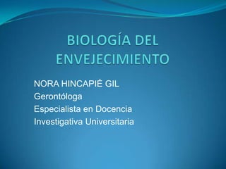 BIOLOGÍA DEL ENVEJECIMIENTO NORA HINCAPIÉ GIL Gerontóloga Especialista en Docencia Investigativa Universitaria 