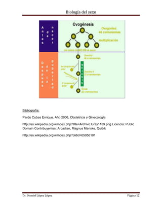 Biología del sexo
Dr. Otoniel López López Página 12
Bibliografía:
Pardo Cubas Enrique. Año 2006, Obstetricia y Ginecología
http://es.wikipedia.org/w/index.php?title=Archivo:Gray1109.png Licencia: Public
Domain Contribuyentes: Arcadian, Magnus Manske, Quibik
http://es.wikipedia.org/w/index.php?oldid=65056101
 