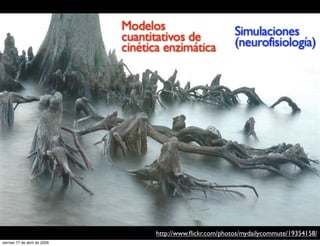 Modelos                        Simulaciones
                              cuantitativos de               (neurofisiología)...