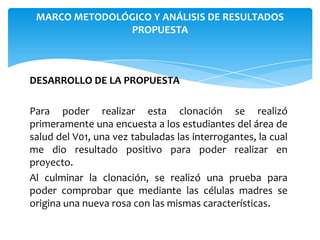 MARCO METODOLÓGICO Y ANÁLISIS DE RESULTADOS
PROPUESTA

DESARROLLO DE LA PROPUESTA
Para poder realizar esta clonación se realizó
primeramente una encuesta a los estudiantes del área de
salud del V01, una vez tabuladas las interrogantes, la cual
me dio resultado positivo para poder realizar en
proyecto.
Al culminar la clonación, se realizó una prueba para
poder comprobar que mediante las células madres se
origina una nueva rosa con las mismas características.

 