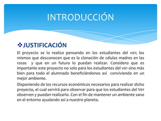 INTRODUCCIÓN
JUSTIFICACIÓN
El proyecto se lo realizo pensando en los estudiantes del v01; los
mismos que desconocen que es la clonación de células madres en las
rosas y que en un futuro lo puedan realizar. Considero que es
importante este proyecto no solo para los estudiantes del v01 sino más
bien para todo el alumnado beneficiándonos así conviviendo en un
mejor ambiente.
Disponiendo de los recursos económicos necesarios para realizar dicho
proyecto, el cual servirá para observar para que los estudiantes del V01
observen y puedan realizarlo. Con el fin de mantener un ambiente sano
en el entorno ayudando así a nuestro planeta.

 