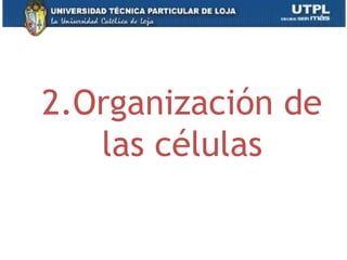 2.Organización de
las células
11
 