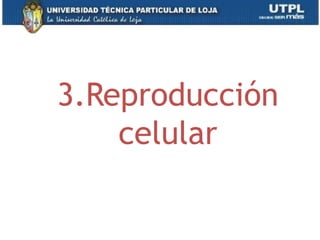3.Reproducción
celular
26
 