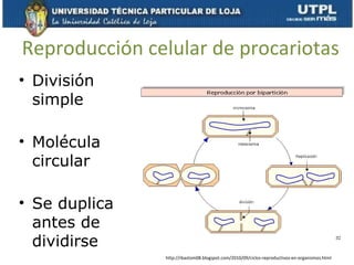 Reproducción celular de procariotas
• División
simple
• Molécula
circular
• Se duplica
antes de
dividirse
http://rbastom08.blogspot.com/2010/09/ciclos-reproductivos-en-organismos.html
 