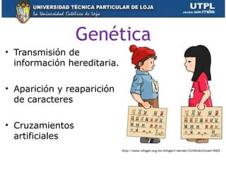 Genética
• Transmisión de
información hereditaria.
• Aparición y reaparición
de caracteres
• Cruzamientos
artificiales
http://www.infogen.org.mx/Infogen1/servlet/CtrlVerArt?clvart=9425
 