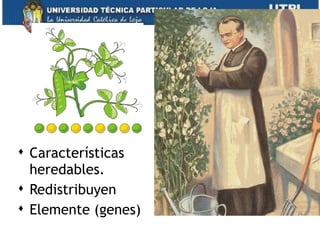  Características
heredables.
 Redistribuyen
 Elemente (genes)
 