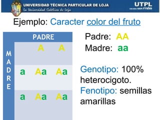M
A
D
R
E
PADRE
A A
a Aa Aa
a Aa Aa
Padre: AA
Madre: aa
Ejemplo: Caracter color del fruto
Genotipo: 100%
heterocigoto.
Fenotipo: semillas
amarillas
 