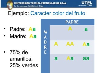 M
A
D
R
E
PADRE
A a
A AA Aa
a Aa aa
• Padre: Aa
• Madre: Aa
Ejemplo: Caracter color del fruto
• 75% de
amarillos,
25% verdes
 
