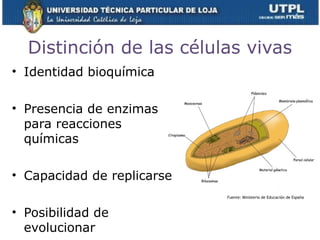 Distinción de las células vivas
• Identidad bioquímica
• Presencia de enzimas
para reacciones
químicas
• Capacidad de replicarse
• Posibilidad de
evolucionar 6
Fuente: Ministerio de Educación de España
 