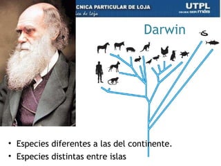 Darwin
• Especies diferentes a las del continente.
• Especies distintas entre islas 66
 