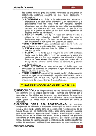 BIOLOGÍA GENERAL UNFV
EDICIONES ROCOCÓ 23
las plantas leñosas, pero las plantas herbáceas se encuentran de
crecimiento, podemos encontrar de dos tipos: colénquima y
esclerénquima.
 COLÉNQUIMA.- la célula de la colénquima son alargadas y
engrosadas y en otros casos angulares, y en células vivas, y el
protoplasma tiene una larga vida, con frecuencia contiene
cloroplasto. Las paredes celulares de este tejido está constituido
de una capa alternada de pirina y celulosa, la cual tiene una
pared o ni puede de estímulos sin sufrir daño alguno en los
órganos a veces de crecimiento.
 ESCLERÉNQUIMA.- este tipo de tejido son células muertas, a
diferencia del colénquima, también igualan las paredes
fuertemente engrosadas. Se compone de elementos mecánicos
son importantes ya que son la fibra y las células pétreas.
 TEJIDO CONDUCTOR.- están constituidos por el xilema y el floema
que conforman lo que se llama también haz conductor.
 XILEMA.- incluye diversos tipos de células poco fundamentales
que son los vasos.
 FLOEMA.- es un tejido que la mayoría de tallos está localizado
hacia fuera del leño, el tubo riboso es un conjunto de vasos, son
perforados por una fina capa de poros que determina la planta
ribosa. El tubo riboso son células vivas que sirven para el
transporte de elementos como hidratos de carbono, las proteínas
y lípidos, etc.
 TEJIDO NERVIOSO.- se caracteriza por el tejido que está
compuesto las bacterias, lo componen el tejido Reservante, rico en
fécula, albumina o quirina, etc.
 TEJIDO SECRETOR.- es muchas plantas existen células o grupos
de células que conforman un tejido especializado secretor llamado
secreciones que no son sino algunos de los subproductos del
metabolismo de células. Ejemplo la urea, el escroto.
X. BASES FISICOQUÍMICAS DE LA CÉLULA
A) INTRODUCCIÓN.- un comportamiento de las células está influenciada
no solamente por su propio estado físico – químico sino también por la
naturaleza de las células que la rodea y por consiguiente del organismo
como un todo, muchos materiales como alimentos, sustancias minerales,
agua, gases los cuales están en continuo movimiento en forma de
moléculas.
B) ASPECTO FÍSICO DEL PROTOPLASMA.- si queremos
comprender los procesos y actividades vitales que se lleva a cabo en la
célula y en el cuerpo vegetal como un todo debemos recordar acerca de las
bases físicas de los fenómenos vitales tales como difusión, osmosis,
plasmólisis, inhibición y permeabilidad. Para esto tenemos que mencionar el
estado básico de la materia en estado natural y diremos que podemos
encontrarla en forma solida, liquida y gaseosa. De acuerdo a estas tres
formas básicas de sustancias puras la materia puede existir en las formas
mixtas de soluciones y coloides. Estos estados son de gran importancia en
 