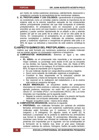 FOPCAA DR. JUAN AUGUSTO ACOSTA POLO
26 ESCUELA PROFESIONAL DE INGENIERÍA PESQUERA
por medio de ciertas sustancias venenosas, calentamiento, desecación o
congelación aumenta la permeabilidad de las membranas celulares.
f) EL PROTOPLASMA Y LOS COLOIDES.- generalmente el protoplasma
es considerado como un complejo sistema coloidal, la importancia de tal
sistema está en la enorme superficie expuesta de los componentes
sólidos principalmente proteínas del que está compuesto el contenido
protoplasmático. El protoplasma varia en viscosidad y se puede
encontrar ya sea como sol (casi liquido) o como gel (semisólido como la
gelatina) y puede cambiar rápidamente de un estado a otro y además
pueden ser gel en una parte de la célula y el sol en otra parte de la
misma. En consecuencia el protoplasma es un sistema coloidal de
enorme complejidad y contiene moléculas de proteínas, sustancias
grasas y sustancias orgánicas e inorgánicas en general, esto junto a un
90% de agua. La estructura y reacciones de este sistema constituye la
vida.
C) ASPECTO QUÍMICO DEL PROTOPLASMA.- el protoplasma como
materia que está formado por numerosos sustancias al estado molecular
que se pueden agrupar en compuestos orgánicos e inorgánicos.
a) COMPUESTOS INORGÁNICOS.- tenemos al agua y las sales
minerales.
 EL AGUA.- es el componente más importante y se encuentra en
mayor cantidad, su porcentaje varía desde el 8% que se encuentra
en los dientes, los huesos, frutos del trigo, maíz, etc. Hasta el 99%
que se determina en la malagua. En el hombre adulto se determina el
60%. El agua es importante por lo siguiente:
 Es una molécula dipolar con carga eléctrica positiva y negativa.
 Servir como solvente de moléculas orgánicas e inorgánicas.
 Constituir la fase dispersante en la estructura coloidal del
protoplasma y medio de transporte de otras sustancias.
 Ser esencial en la realización del metabolismo o en la enzima
solo actúa en presencia del agua.
 SALES MINERALES.- se encuentran dentro del protoplasma
disociados en iones positivos o cationes y negativos o aniones, como
ejemplo podemos mencionar: ion sodio Na+, ion potasio K+, ion
cloruro Cl-, ion fosfato (PO4)-3, ion bicarbonato (HCO3)-, etc. Los iones
minerales son importantes por la siguiente razón:
 Regular la presión osmótica de las células o la presión del líquido
intracelular con el líquido extracelular que rodea la célula.
 Regular el equilibrio acido – básico de la célula.
b) COMPUESTOS ORGÁNICOS.- tenemos lo siguiente:
 PROTEÍNAS.- son moléculas formadas por cadenas de unidades
llamadas aminoácidos que son sustancias cuaternarias porque sus
moléculas están formadas por C (carbono), H (hidrogeno), O
(oxigeno) y N (nitrógeno). En algunos casos el azufre (S). la
estructura y propiedad de la proteína la determina los aminoácidos
que forman la molécula. Existe 10 aminoácidos diferentes que se
combinan para formar una infinidad de moléculas de proteínas. Las
proteínas son importantes por lo siguiente: son los constituyentes en
la formación de la materia viva, tener un gran peso molecular,
contener cadenas de carbono, hidrogeno, fosforo de azufre también.
 