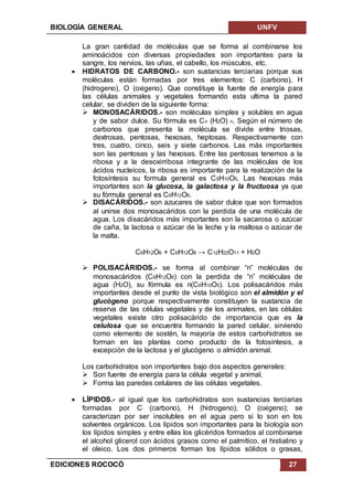 BIOLOGÍA GENERAL UNFV
EDICIONES ROCOCÓ 27
La gran cantidad de moléculas que se forma al combinarse los
aminoácidos con diversas propiedades son importantes para la
sangre, los nervios, las uñas, el cabello, los músculos, etc.
 HIDRATOS DE CARBONO.- son sustancias terciarias porque sus
moléculas están formadas por tres elementos: C (carbono), H
(hidrogeno), O (oxigeno). Que constituye la fuente de energía para
las células animales y vegetales formando esta ultima la pared
celular, se dividen de la siguiente forma:
 MONOSACÁRIDOS.- son moléculas simples y solubles en agua
y de sabor dulce. Su fórmula es Cn (H2O) n. Según el número de
carbonos que presenta la molécula se divide entre triosas,
dextrosas, pentosas, hexosas, heptosas. Respectivamente con
tres, cuatro, cinco, seis y siete carbonos. Las más importantes
son las pentosas y las hexosas. Entre las pentosas tenemos a la
ribosa y a la desoxirribosa integrante de las moléculas de los
ácidos nucleícos, la ribosa es importante para la realización de la
fotosíntesis su formula general es C5H10O5. Las hexosas más
importantes son la glucosa, la galactosa y la fructuosa ya que
su fórmula general es C6H12O6.
 DISACÁRIDOS.- son azucares de sabor dulce que son formados
al unirse dos monosacáridos con la perdida de una molécula de
agua. Los disacáridos más importantes son la sacarosa o azúcar
de caña, la lactosa o azúcar de la leche y la maltosa o azúcar de
la malta.
C6H12O6 + C6H12O6 → C12H22O11 + H2O
 POLISACÁRIDOS.- se forma al combinar “n” moléculas de
monosacáridos (C6H12O6) con la perdida de “n” moléculas de
agua (H2O), su fórmula es n(C6H10O5). Los polisacáridos más
importantes desde el punto de vista biológico son el almidón y el
glucógeno porque respectivamente constituyen la sustancia de
reserva de las células vegetales y de los animales, en las células
vegetales existe otro polisacárido de importancia que es la
celulosa que se encuentra formando la pared celular, sirviendo
como elemento de sostén, la mayoría de estos carbohidratos se
forman en las plantas como producto de la fotosíntesis, a
excepción de la lactosa y el glucógeno o almidón animal.
Los carbohidratos son importantes bajo dos aspectos generales:
 Son fuente de energía para la célula vegetal y animal.
 Forma las paredes celulares de las células vegetales.
 LÍPIDOS.- al igual que los carbohidratos son sustancias terciarias
formadas por C (carbono), H (hidrogeno), O (oxigeno); se
caracterizan por ser insolubles en el agua pero si lo son en los
solventes orgánicos. Los lípidos son importantes para la biología son
los lípidos simples y entre ellas los glicéridos formados al combinarse
el alcohol glicerol con ácidos grasos como el palmítico, el histialino y
el oleico. Los dos primeros forman los lípidos sólidos o grasas,
 