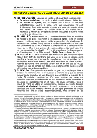 BIOLOGÍA GENERAL UNFV
EDICIONES ROCOCÓ 7
VII. ASPECTO GENERAL DE LA ESTRUCTURA DE LA CÉLULA
A) INTRODUCCIÓN.- La célula se puede se observar bajo dos aspectos:
a) En estado de división, que conduce a la formación de dos células hijas.
b) En estado de reposo, que no implica que la célula se encuentre
metabólicamente inactiva o inerte, sino que simplemente no está
dividiéndose. Bajo este aspecto presenta una serie de características
estructurales que revelan importantes aspectos importantes en su
naturaleza y función. El protoplasma celular excluyendo al núcleo recibe
el nombre de citoplasma.
B) EL NÚCLEO: Robert Brown (1831) observo el núcleo típico en una célula
de reposo y se pudo determinar al microscopio óptico como un cuerpo
ovalado y esférico, como cuerpo pálido y suspendido del citoplasma. En
preparaciones celulares fijas y teñidas el núcleo aparece como la estructura
más prominente de la célula durante la división celular la refractividad del
núcleo se modifica lo que permite observar cambios nucleares sin recurrir a
los procesos de fijación y tinción1. En los últimos años se ha determinado en
el núcleo la presencia de ADN es decir: “Acido Desoxirribonucleico”.
C) MEMBRANA NUCLEAR: el núcleo está rodeado de por una delicada pero
nítida y bien definida membrana que viene a ser la que se conoce como
membrana nuclear que la separa del protoplasma y que es selectiva con el
microscopio electrónico muestra que esta membrana es doble y porosa.
Además del núcleo tiene un líquido viscoso que no se tiñe que es “el jugo
nuclear” del cual se conoce muy poco, posee además más cuerpos o unos
refringentes que se llaman nucléolos.
D) EL NÚCLEO: Este presenta un material de gran importancia que tiene el
aspecto de filamentos finos entrecruzados a manera riel y que se conoce
como material cromático el que determina las actividades y herencia de la
célula. El material cromático se tiñe profundamente por numerosos
colorantes comunes, características en esta estructura. así se determino la
presencia de nucleoproteínas en el núcleo de células animales. Hacia la
mitad de 1920 se utilizo un procedimiento especial de tinción llamado
“reacción de Feulgen”2 (empleando fucsina) demostrando que el material
cromático del núcleo contenía uno de los dos tipos principales de ácidos
nucleícos que era el acido desoxirribonucleico, mas adelante en los
1
Una tinción o coloración es una técnica auxiliar utilizada en microscopía para mejorar el contraste en la
imagen vista al microscopio. Los colorantes y tinturas son sustancias que usualmente se utilizan en
biología y medicina para resaltar estructuras en tejidos biológicos que van a ser observados con la ayuda
de diferentes tipos de microscopios. Los diferentes colorantes pueden ser utilizados para aumentar la
definición y examinar grandes cortes de tejido (resaltando por ejemplo fibras musculares o tejido
conectivo), poblaciones celulares (por ejemplo clasificando diferentes células sanguíneas) o incluso para
resaltar organelas dentro de células individuales.
2 La tinción de Feulgen es una técnica de tinción descubierta por Robert Feulgen y usada en histol ogía
para identificar material cromosómico o ADN en células. Depende de la hidrólisis ácida del ADN. El
material es sometido a una hidrólisis con ácido clorhídrico 1N a 60 °C, o 5N a temperatura ambiente, y
luego al reactivo de Schiff. La reacción Feulgen es una técnica semicuantitativa. Si el único aldehído que
queda en la célula son los producidos de la hidrolisis del ADN, ahí la técnica es cuantitativa para el DNA.
Es posible usar un instrumento,conocido como microdensitómetro o microespectrofotómetro para medir la
intensidad de la reacción Feulgen para un orgánulo.Usando este proceso,se determinó que en interfase,
las células estaban compuestas de dos grupos de cromosomas. Uno con un grupo diploide y otro con un
grupo tetraploide (dos grupos genómicos completos).El núcleo se observaba idéntico,pero uno de ambos
poseía el doble de ADN. Esto dio a la división del periodo que conocemos como interfase en el ciclo
celular a G1, S y G2 basados en la síntesis de ADN.
 