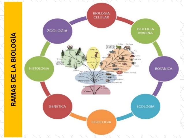 Biología generalidades