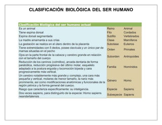 CLASIFICACIÓN BIOLÓGICA DEL SER HUMANO
 