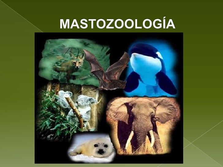 Biología i Biología i