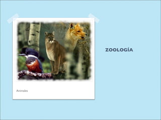 ZOOLOGÍA Animales
