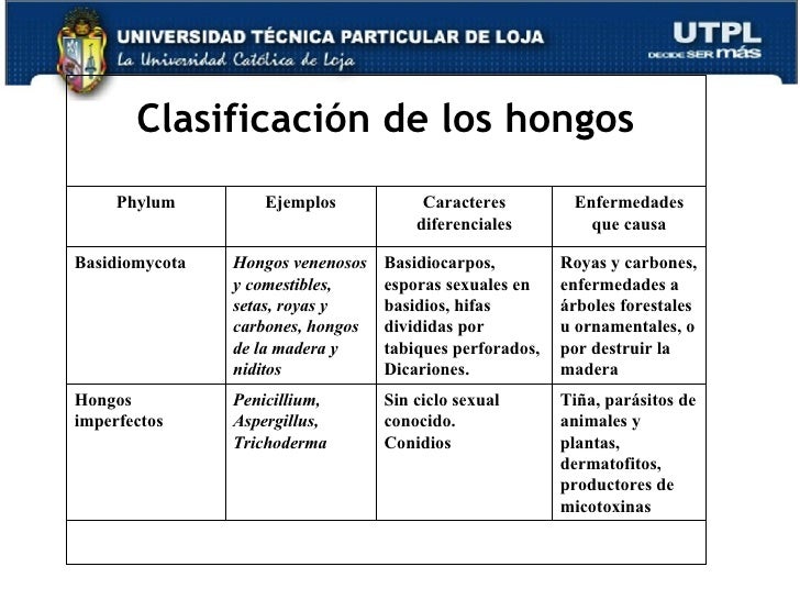 Los preparados de las lombrices a schenyat