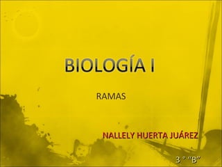 RAMAS NALLELY HUERTA JUÁREZ 3 ° “B” 