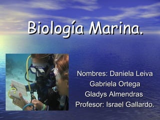 Biología Marina.

      Nombres: Daniela Leiva
          Gabriela Ortega
         Gladys Almendras
      Profesor: Israel Gallardo.
 