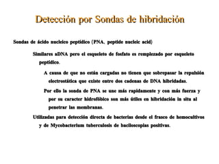 Pipetear todo en una columna de Dneasy spin. Que se coloca en un tubo de recolección de 2 ml.  