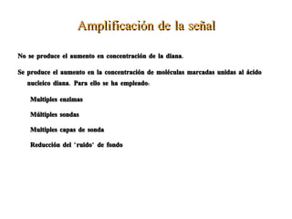 Extracción DNA Colocar la columna en otro tubo de recolección. Añadir 500 ml de buffer AW1. 