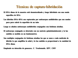 Colocar la columna en un tubo de microcentrifuga y pipetear 200 ul de buffer AE.  