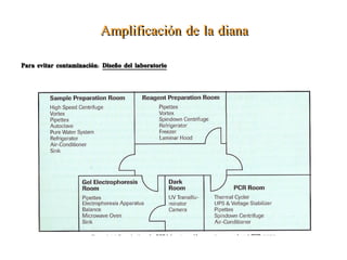 Detección por Sondas de hibridación Sondas: segmentos de RNA o DNA marcados con radioisotopos, emzimas o sustancias quimioluminiscentes.  De 15 a 25 nucleótidos 