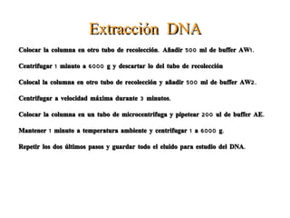 Añadir 20 ml de proteinasa K y mezclar con vortex. Incubar a 55 ºC. Mezclar con vortex ocasionalmente durante la incubación para mezclar. Incubación 1-3 horas. 