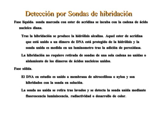 Añadir buffer AL 200 ul, vortex e incubar a 70º 10 minutos.  