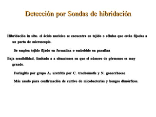 Añadir 200 ul de etanol absoluto, vortex.  