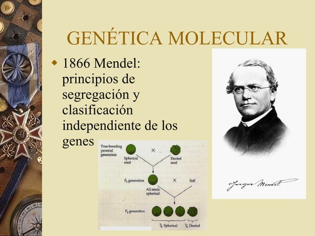 Biología molecular PPT