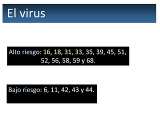El virus
Alto riesgo: 16, 18, 31, 33, 35, 39, 45, 51,
52, 56, 58, 59 y 68.
Bajo riesgo: 6, 11, 42, 43 y 44.
 