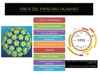 • 1970: Dr. Harald Hausen.
• Familia: Papillomaviridae.
• Virus de tamaño pequeño: 45 a
55 nm de diámetro.
• Estructura icosaédrica: 72
capsómeros.
• Doble cadena de ADN circular
• 8000 PB.
• Amplia distribución.
• Tropismo epitelial (piel y
mucosas).
• Clasificación: secuencia
genómica.
López -Saavedra y Li zano-Soberón, Cancerología
1 (2006): 31-55
Schiffman M, et al. Lancet 2007; 370: 890-897
 