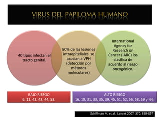 40 tipos infectan el
tracto genital.
80% de las lesiones
intraepiteliales se
asocian a VPH
(detección por
métodos
moleculares)
International
Agency for
Research on
Cancer (IARC) los
clasifica de
acuerdo al riesgo
oncogénico.
Schiffman M, et al. Lancet 2007; 370: 890-897
BAJO RIESGO
6, 11, 42, 43, 44, 53.
ALTO RIESGO
16, 18, 31, 33, 35, 39, 45, 51, 52, 56, 58, 59 y 66.
 
